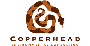 Copperhead Environmental